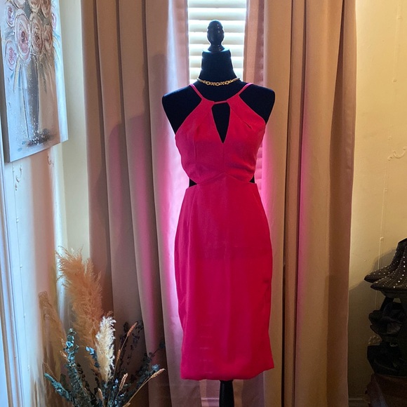 Hot Pink Midi Cutout Sheath Cocktail Dress. Women’s Size Small - Picture 1 of 10